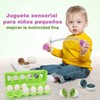 Goodiomio Huevos a Juego de Color y Forma,Juegos Didacticos para