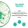 Equilibra, Collagene Vegetale Crema Viso Anti-rughe Rimpolpante, 50 ml ,