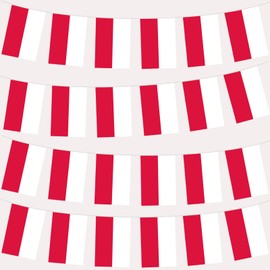 Länder Flaggen (Saitenfahnen 10m:Poland)