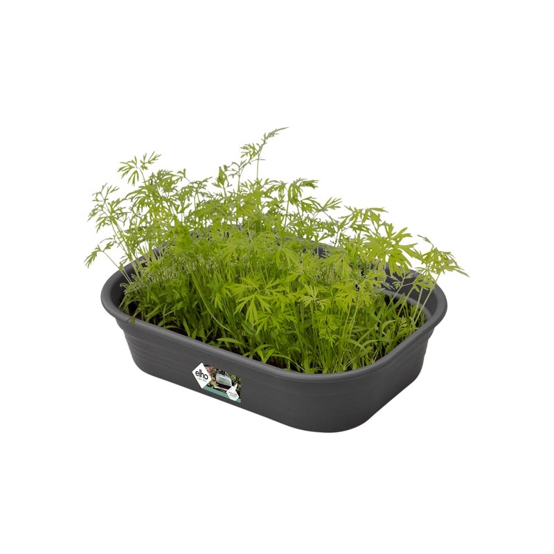 Elho Green Basics Propagation Bowl S – Vivid Black –