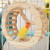 Bird Running Wheel, Spinner Running Wheels for Bird, Chew Beak