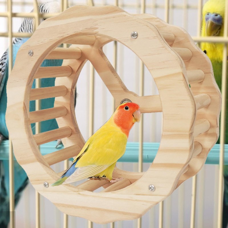 Bird Running Wheel, Spinner Running Wheels for Bird, Chew Beak