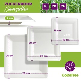 GoBeTree 50 Square White Sugar Cane Plates 16cm Extra Durable Disposable Paper Plates for Camping, Picnics, Parties, BBQ, Birthdays