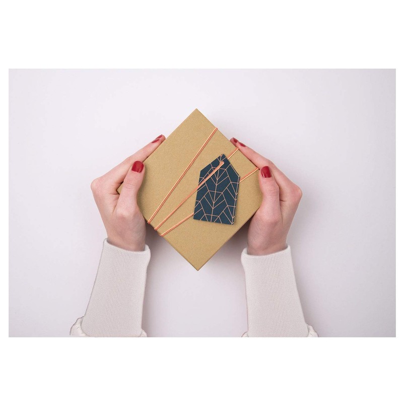 folia 3110 Cardboard Boxes in Natural Design, Pack of 12,