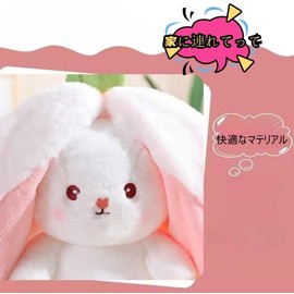 Strawberry, Rabbit, Plush Rabbit, Stuffed Toy, Transformation, Dakimakura, Stuffed Toy, Hugging Pillow, Cute Animal, Carrot Bunny, Plush Toy (9.8 inches (25 cm), Strawberry Color