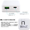 White Nuts JX-AC-161 USB Charger, Fast Charging, 2 Ports, TYPE-C,