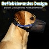 Kiiwah Dog Muzzle, Breathable Muzzle for Medium Dogs with Mesh
