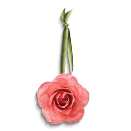 Diamond2Deal Lacquer Dipped Pink Decorative Rose for Women