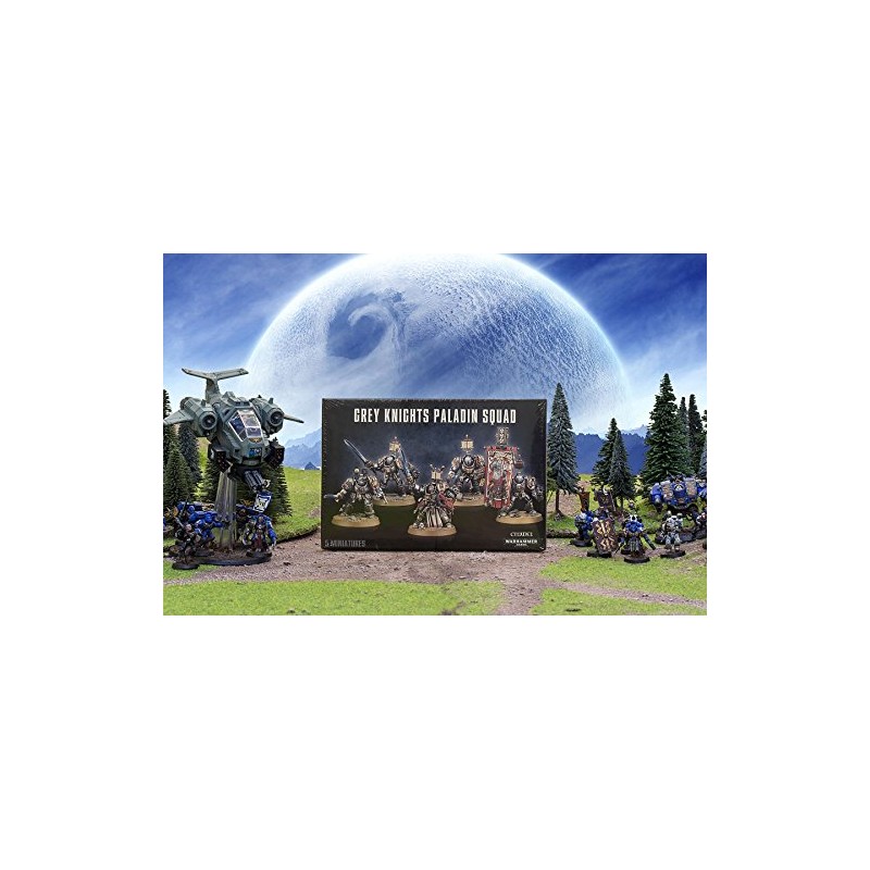 GW57-09 2014 GREY KNIGHTS PALADIN SQUAD