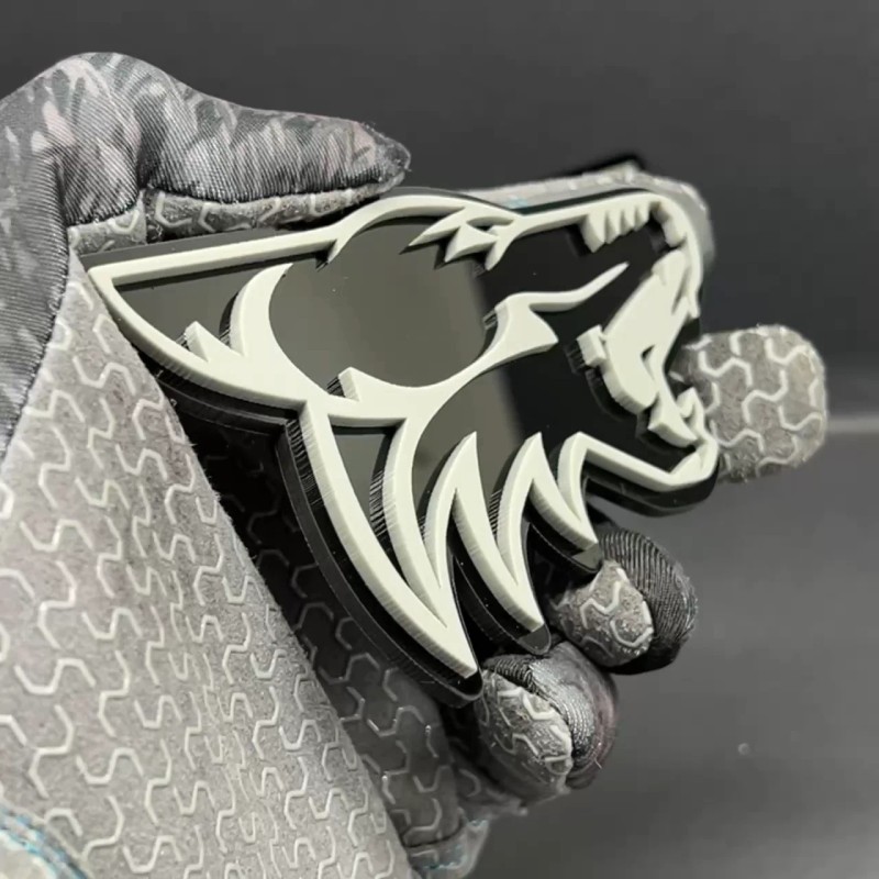 Emblem Badge 2PCS COYOTE Emblem Badges Fender Angry Aggressive Racing