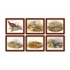 Lady Clare Gould Game Birds Coasters - Set of 6