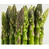Asparagus Seeds-Mary Washington 100+ Fresh Seeds