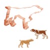 The Fussy Pup On Point German Shorthaired Pointer Cookie Cutter