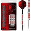 DESIGNA DARTS Vampires V2 Darts | M2 | Steel Tip