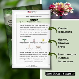Sow Right Seeds - Peppermint Stick Zinnia Seeds for Planting - Non-GMO Heirloom Packet to Plant & Grow an Outdoor Home Flower Garden - Beautiful, Giant Double Blooms to Cut and Come Again - Annual (1)