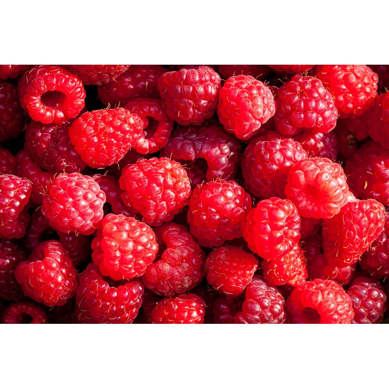 Pink-Raspberry easyWater Drink Powder, Sugar-free Flavour Powder for Refreshing Drinks,