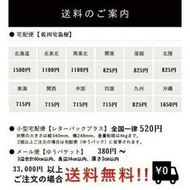 Kose Infinity Skin Genic Foundation Sponge