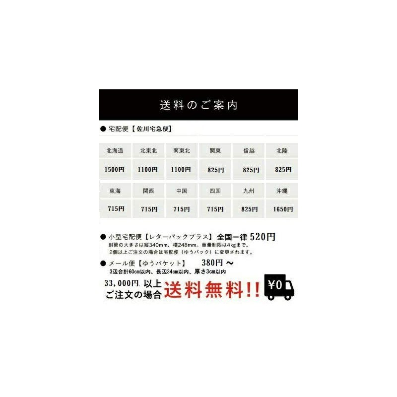 Kose Infinity Skin Genic Foundation Sponge