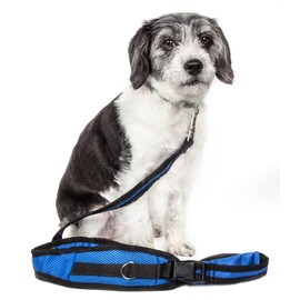 Pet Life ® Echelon Hands Free and Convertible 2-in-1 Training Dog Leash and Pet Belt with Pouch