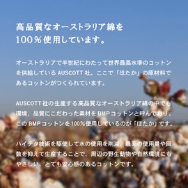 Trampalan Petite Gift, Individual Packaging, Imabari Towel, Handkerchief, Approx. 7.9 x 7.9 inches (20 x 20 cm), Set of 10 (Assorted), Celebration, Giving Out Gift