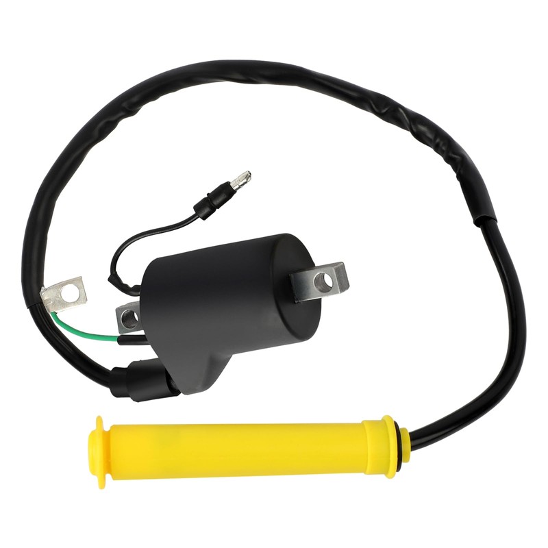 Mabutingti Ignition Coil & Spark Plug & CDI for Honda