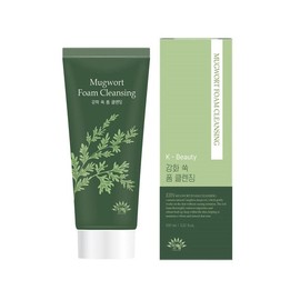 Ain Enhanced Mugwort Foam Cleansing 100ml / Removes impurities and sebum / Until October 2027 / 에인 강화 쑥 폼 클렌징100ml /노폐물 피지 제거/27년10월까지
