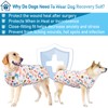 AOFITEE Dog Recovery Suit, Surgical Recovery Suit for Dog Female