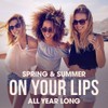 ChapStick Lip Balm, I Love Summer Collection, Variety 3-Pack –