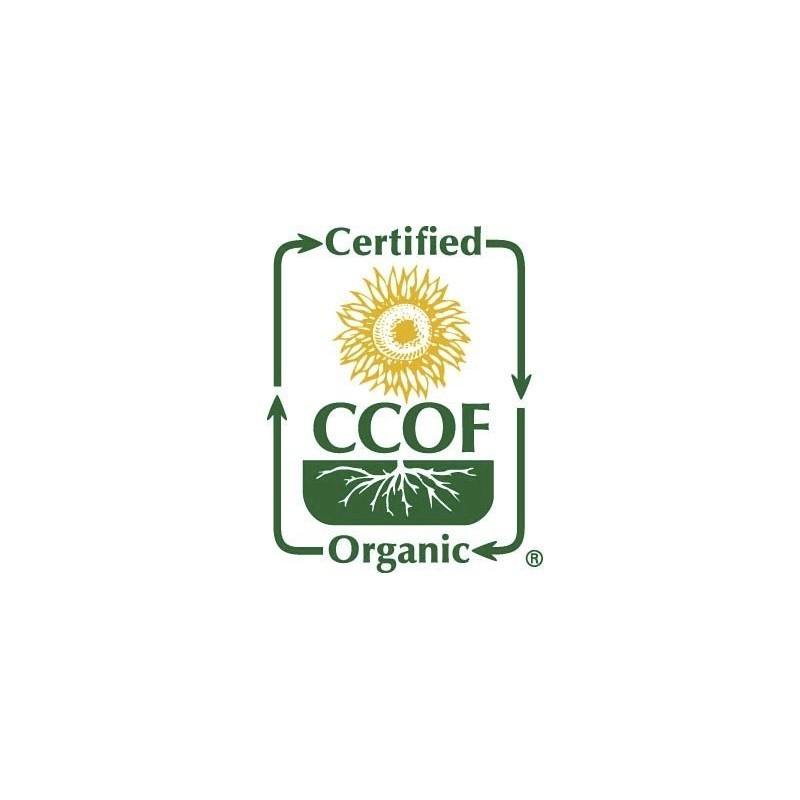 McCabe Organic Bitter Melon Tea - Organic Bitter Melon |