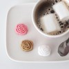 Canasuc Paris, L’Envie en Rose | Pur Sucre de Canne