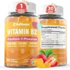 사프굼젤 B2 구미 | 성인 및 리보플라빈 400mg 마그네슘 CoQ10