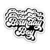 (3Pcs) Retro Birthday Boy Stickers, Waterproof Vinyl Decals for Gift