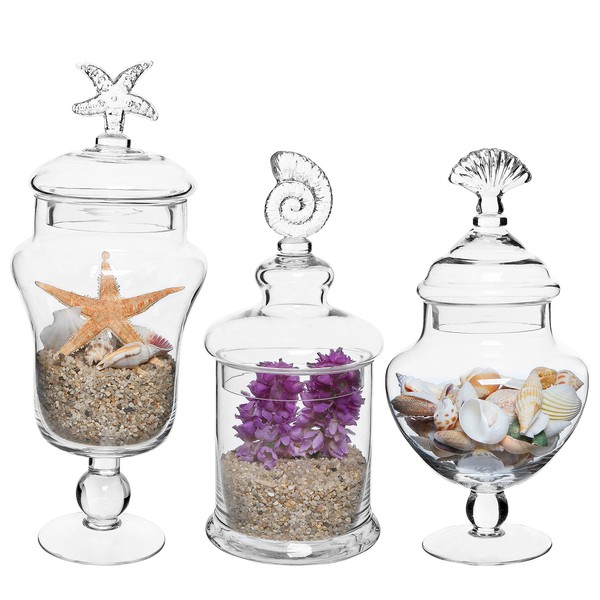 MyGift Clear Glass Apothecary Jars with Lid, Decorative Seashell Design Bathroom Canister, Footed Candy Buffet Containers, Set of 3