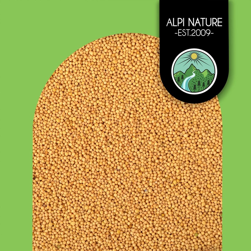 Mustard seeds (500g, 1.1lb), yellow and white 100% natural, gently