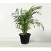 San Marino Lazy Planters - Self Watering Planter - Large