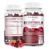GreenPeople 2x Cortisol Ashwagandha L-Theanine Relieve Stress, Adrenal Support Supplement