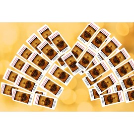 Surrender Novena to the Will of God Trifold Holy Card 50 Pack