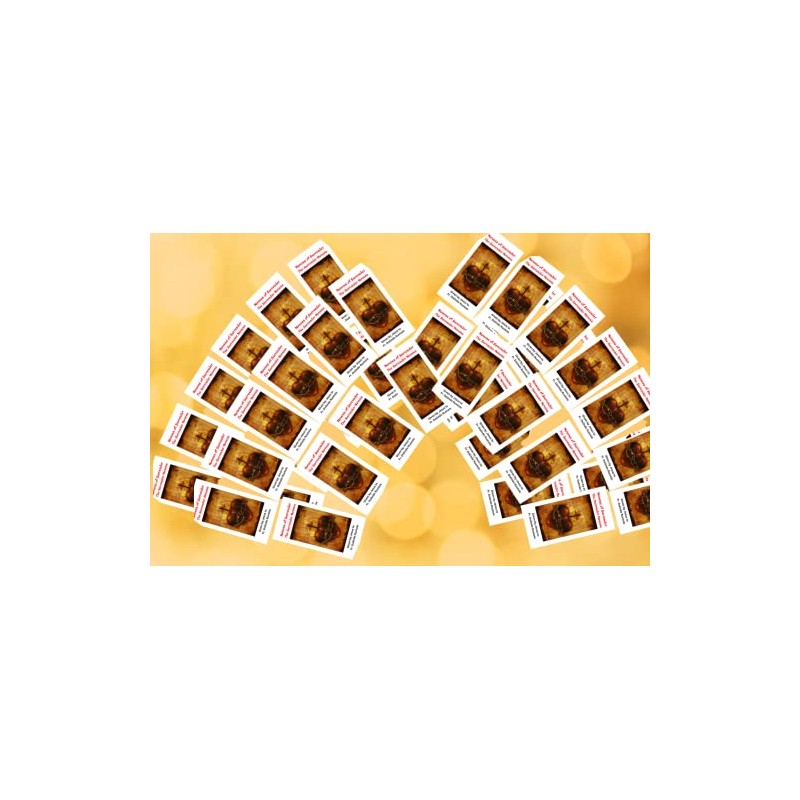 Surrender Novena to the Will of God Trifold Holy Card