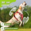 Eyein No-Pull Dog Harness, Air Mesh Breathable Chest Harness for