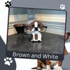 Beagle Eyeglass or Sunglass holder - Color: Brown and White