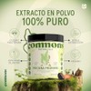 Hongos Adaptógenos Frijol Mucuna Extracto Puro Polvo 100 Suplemento Alimenticio