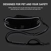 TECSPACE Hands Free Dog Leash for Two Dogs, Adjustable Waist