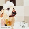 Buddy's Best Dog Shampoo for Smelly Dogs - Dog Shampoo