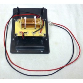 LASE Replacement Upgraded Crossover 118 Bass Speaker w/Speakon & 1/4" Jack