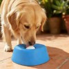 Cuenco Lamer Perro con Bola + Licking Mat para Perro