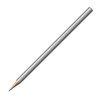 Caran d'Ache Grafwood Graphite Pencil - 2H (775.262)