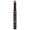 Essence The Slim Stick 202 Brick Red