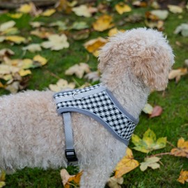 AllPetSolutions Dog Harness - Cool Pet Vest with Back D-Ring for Dog Lead Clips - Mesh Fabric Puppy Harness with Soft Padding - Training Stuff, Supplies for Small, Medium, Large Dogs - S, Grey Pattern
