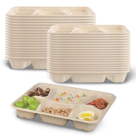Hyuetrsa 50 Pcs 11x8.2x1.6 Inch Disposable Paper Plates compartment plates plastic Compostable 6 Compartment Plates for School Lunch Trays