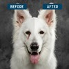 Tear Stain Remover for Dogs 2 Pack - 4 oz